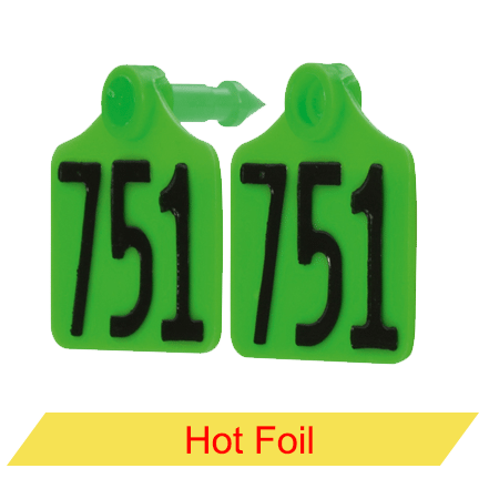 Pig Tags -Hot Foil