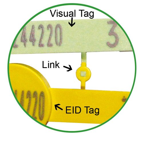 Sheep breeding Tags|EID| Visual| Loop Tags| Dual Tag