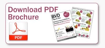 PDF-Broschure